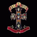 Guns N Roses Appetite for Destruction